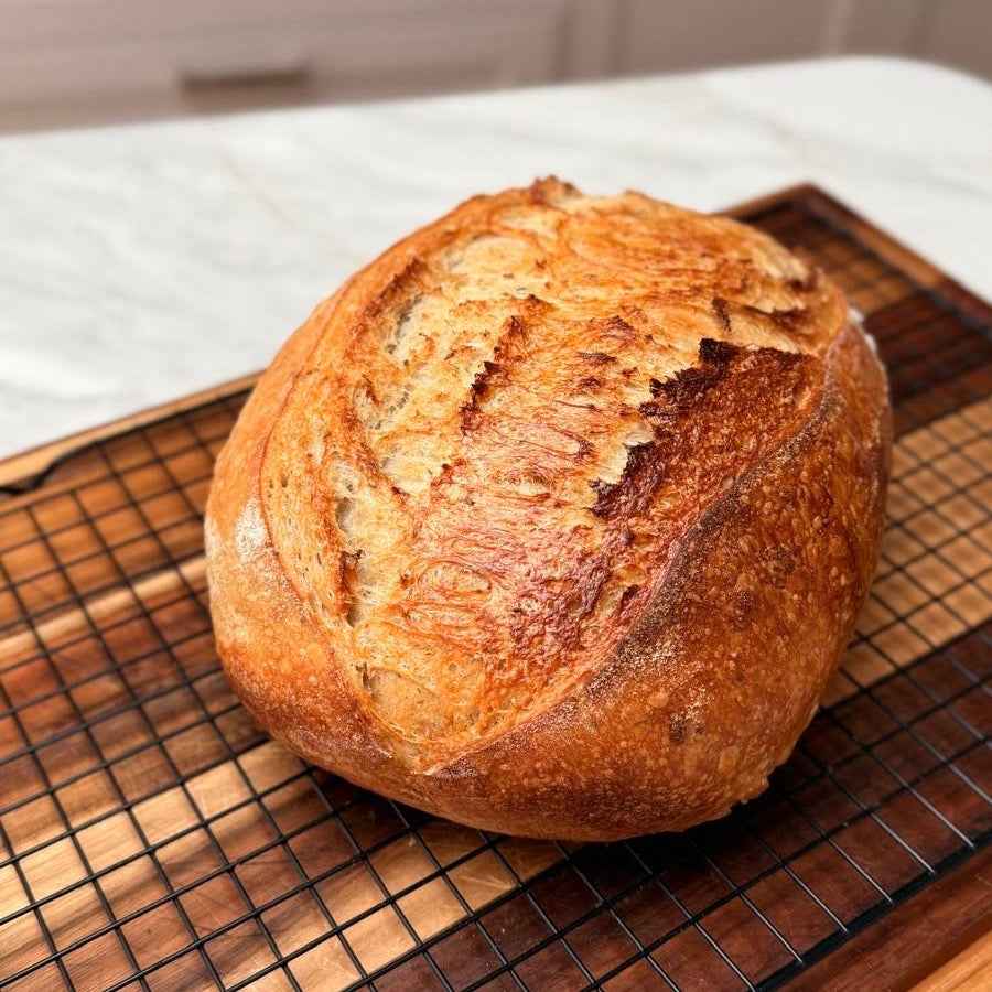 Wholemeal Sourdough Starter – 30 Year Mature Culture