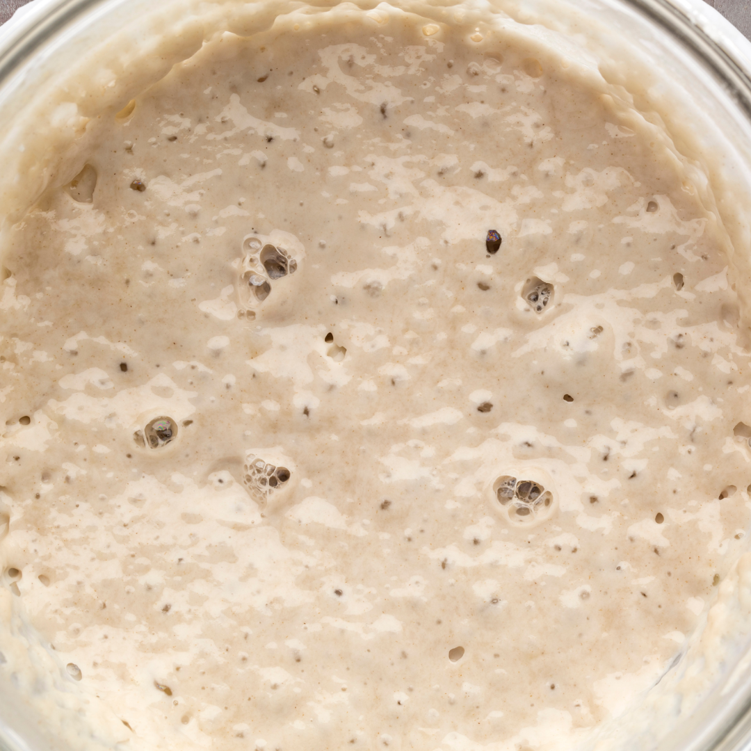 Sourdough Starter – 30 Year Mature Culture - Sourdough Supply Co.