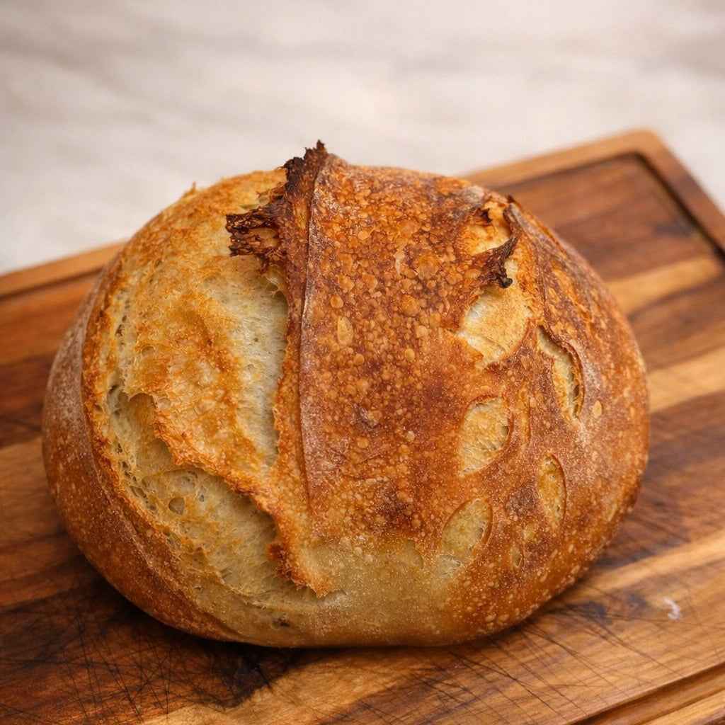 Sourdough Starter – 30 Year Mature Culture AO - Sourdough Supply Co.