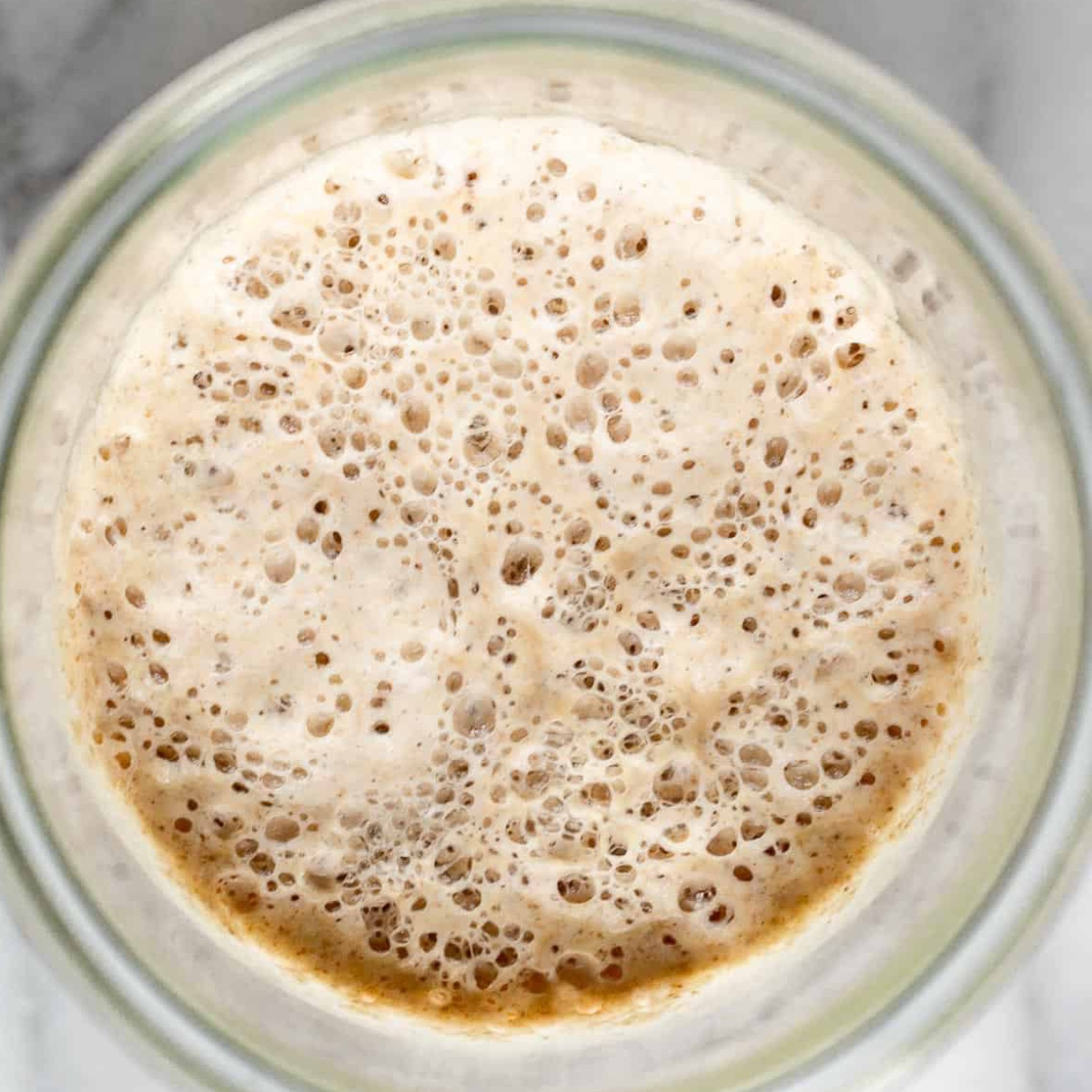 Sourdough Starter – 30 Year Mature Culture AO - Sourdough Supply Co.